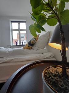 兰讷斯Stylish Apartment On Pedestrian Street Randers的卧室配有一张床,桌子旁边还有盆栽植物