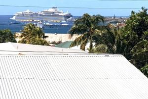 巴斯特尔The Residence - your home when not at home的一艘拥有海滩和棕榈树的海洋游轮