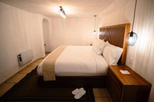 巴耶德布拉沃BOTANIQ HOTEL BOUTIQUE的酒店客房配有一张床铺和一张桌子。