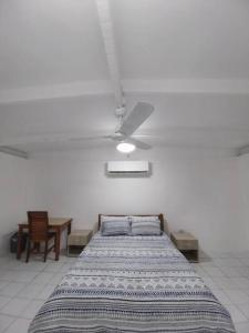 霍尼亚拉Harbour View House at Point Cruz, Honiara的一间卧室配有一张带吊扇的床