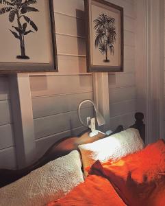 法兰西堡Kazacérola的一间卧室,配有一张床和棕榈树的照片