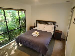 布赖特Rail Trail Cottage - Bright的一间卧室设有一张床和一个大窗户