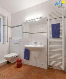 于斯德Luv und Lee Ferienwohnung Pilsum的浴室设有水槽和带蓝色毛巾的卫生间。