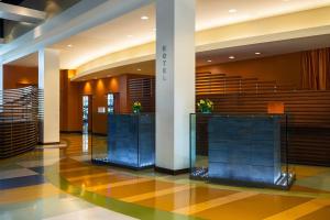 亚里索维耶荷阿里索维耶荷俱乐部运动万丽酒店的大厅,在大楼里有两个玻璃屏