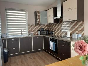 考纳斯Vaiva’s holiday home的厨房配有不锈钢橱柜和水槽