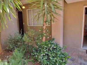 克鲁格斯多普非洲天空旅馆的棕榈树在植物丛中的房子前