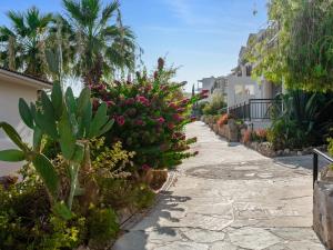 克洛拉卡斯Sanders Seaview Paphos的一条种植了植物和棕榈树的石头人行道