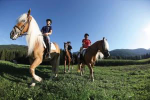 卡西圣马达莱娜Hotel Waldruhe的一群在田野里骑马的人