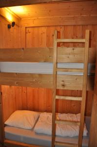 莱德萨阿尔卑斯Cortina - 12 - Appart confort - 8 pers的小屋设有一张双层床,配有木墙