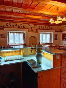 ČechticeStatek Palčice的厨房配有水槽和台面