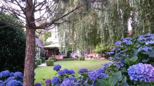 德平特威洛斯洛奇床和早餐的种有紫色花和树的花园