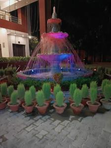 AyodhyaTaraji Resort Hotel & Restaurant Ayodhya的喷泉里放着一堆仙人掌