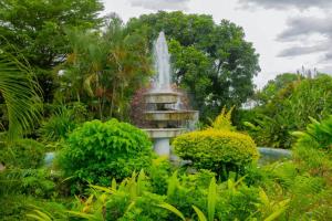 恩多拉MUKUBA HOTEL的花园中央的喷泉
