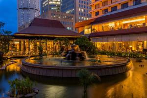 科伦坡科伦坡希尔顿酒店的城市中心的一个喷泉