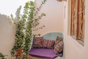 江比阿Marvelous Zanzibar的紫色长凳,配有枕头和植物