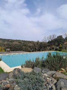 维尼艾什Quinta da Devesa -B2的庭院里游泳池,有岩石