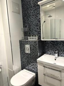 斯德哥尔摩Nyrenoverat i centrala Stockholm的一间带卫生间、水槽和镜子的浴室