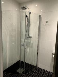 斯德哥尔摩Nyrenoverat i centrala Stockholm的浴室里设有玻璃门淋浴