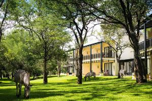 利文斯顿赞比亚维多利亚瀑布皇家利文斯顿安纳塔拉酒店的两斑马在一座建筑前面的草丛中放牧