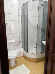 库多瓦-兹德鲁伊Villa Carmen的带淋浴、卫生间和盥洗盆的浴室