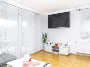 瓦拉日丁Holiday Home Dom & San的客厅设有白色的墙壁和平面电视。