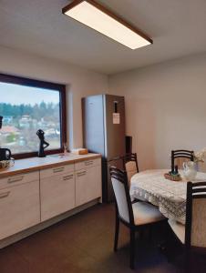 雷丹尼茨恩Lorenzhof by JULKA - self checkin的厨房配有桌子、冰箱和窗户。