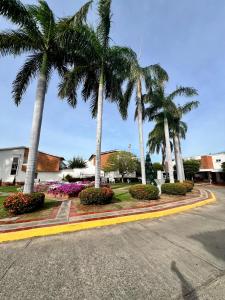 巴耶杜帕尔Casa frente al centro comercial Guatapuri的一条种有棕榈树和鲜花的街道