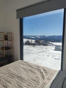 MăguriTiny House Maguri的卧室设有大窗户,享有雪景