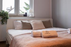 库瑞尼卡慕斯卡Flatbook Apartamenty - Krynica Morska Gdańska的卧室内的一张带两个枕头的床