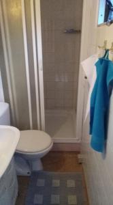 JurkówMogielicki Zakątek的浴室设有卫生间和带蓝毛巾的淋浴。