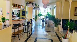 拉雷多Hotel Miramar Laredo的植物间里带凳子的酒吧