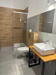 热舒夫瓦邦克旅馆的一间带水槽、淋浴和卫生间的浴室