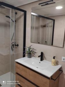 贝纳尔马德纳Pueblo Quinta的浴室配有盥洗盆和带镜子的淋浴