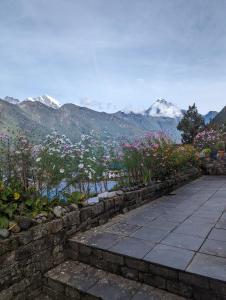 LuklaLukla Himalaya Lodge的一条石头小径,有鲜花和山脉背景