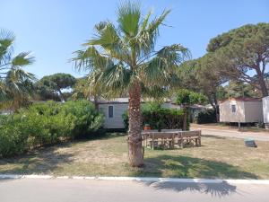 纳博讷Mobil-Home pour 6 personnes (3 chambres)的棕榈树,带野餐桌和长凳