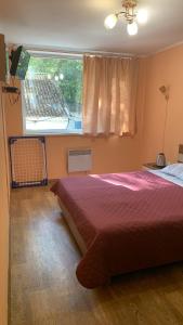 OrlovshchinaБаза відпочинку «Павлоградець»的一间卧室设有一张大床和一个窗户。