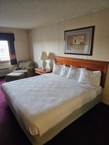 科迪贝尔图斯酒店的酒店客房带一张大床和一把椅子