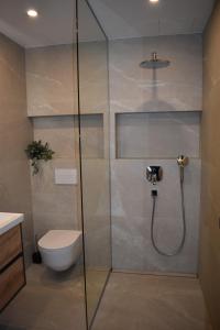 派尔努Suur-Posti Apartments的带淋浴、卫生间和盥洗盆的浴室
