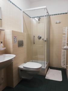 阿布劳哈姆海吉SZiGET23的带淋浴、卫生间和盥洗盆的浴室