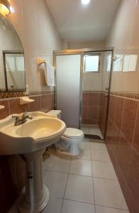 伊达尔戈州波萨里卡Hotel Du Parc的一间带水槽、卫生间和淋浴的浴室