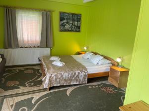 维斯瓦Willa Stenia Apartamenty的一间卧室设有一张带绿色墙壁的床