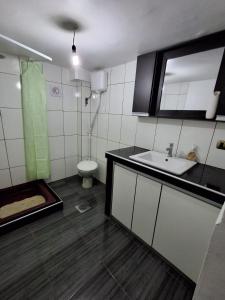 奥鲁罗Backpacker Oruro的一间带水槽和卫生间的浴室