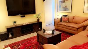 贝尔格莱德Theisen Vacation Home的带沙发和平面电视的客厅