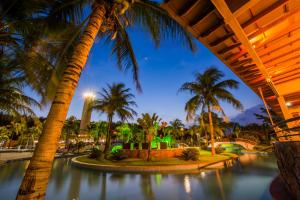 林斯Blue Tree Thermas de Lins Resort的享有泳池美景,晚上种植了棕榈树