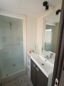 Le Pont LegéMobil-home, 3 ch , 6 personnes的一间带水槽和玻璃淋浴的浴室