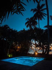 Tohautu米提拉帕别墅酒店的棕榈树的夜间游泳池