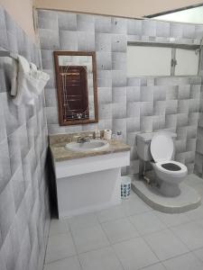 圣伊格纳西奥Arnold's Guest House的一间带卫生间、水槽和镜子的浴室