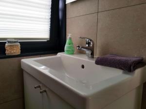 佩讷明德Hausboot Marama - LP10的浴室水槽和绿色肥皂瓶