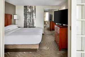 罗缪勒斯底特律都会机场万豪酒店的一间卧室配有一张床和一台平面电视