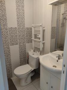 达克斯Studio proche centre-ville的一间带卫生间和水槽的浴室